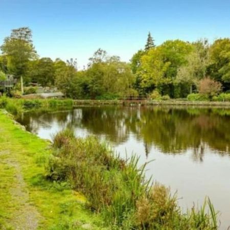 Cosy Hideaway Lodge In Glan Gwna Caeathro エクステリア 写真